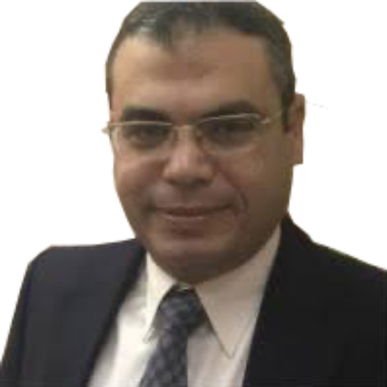 Prof. Mohamed Fawzy