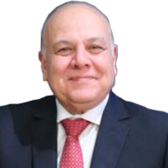 Prof. Amr Ezzat Salama