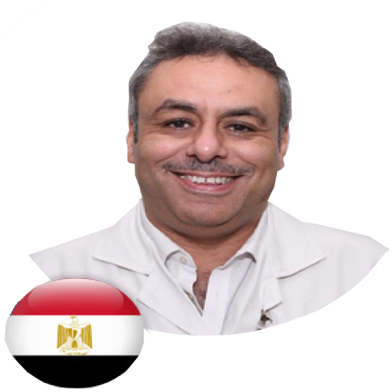 Prof. Dr. Emad Mousa