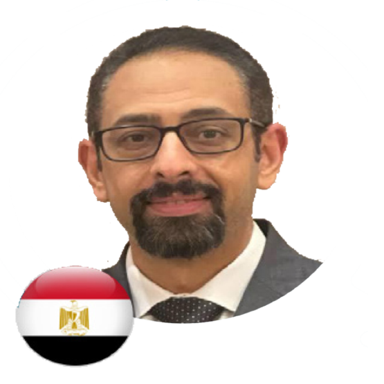 Prof. Dr. Mahmoud Hammad